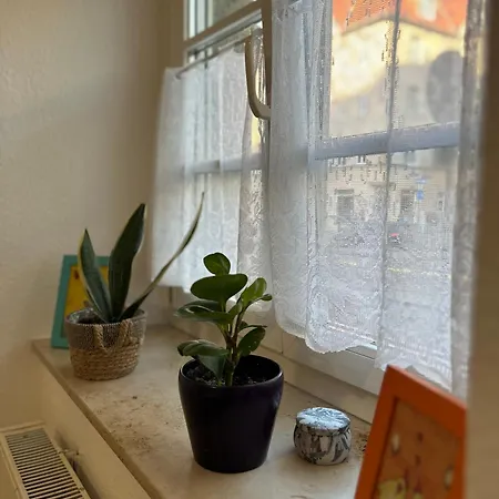 Nur 10 Min Fuss Zum Zentrum,47qm,netflix * Erfurt