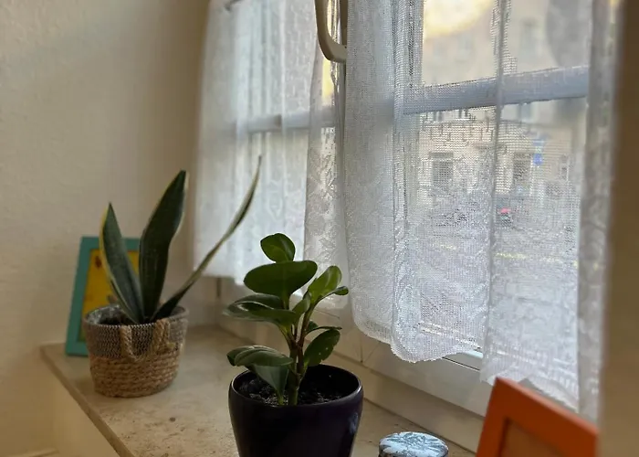 Nur 10 Min Fuß Zum Zentrum,47qm,netflix * Erfurt